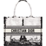 Christian Dior Medium Dior Book Tote